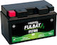Fulbat UPS Battery with Capacity 9.1Ah and Voltage 12V 550636 1 Piece