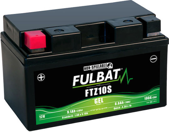 Fulbat UPS Battery with Capacity 9.1Ah and Voltage 12V 550636 1 Piece