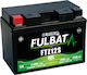 Fulbat UPS Battery with Capacity 11.6Ah and Voltage 12V 550637 1 Piece