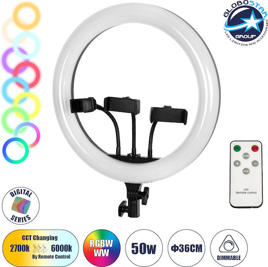 Ring Ringlicht 36cm mit Handyhalter