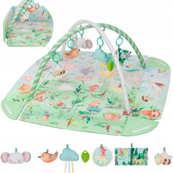 Lionelo Play Mat for Newborns