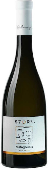 THivaiki Gi Wine Story Malagouzia Red Dry 750ml