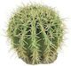 Ferplast Διακοσμητικό Terrarium Κάκτος Ερήμου 11 13 X 12 X 14 Cm Ferplast