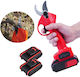 Bisutime Gartenschere 48V mit 2 Batterien