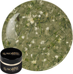 Uv Gel Nagelaufbau Revoflex Floral Luxorise 15m...