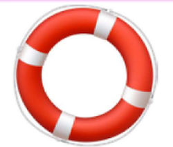 28” Life Ring