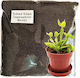 Plant Soil 1kg 4465794