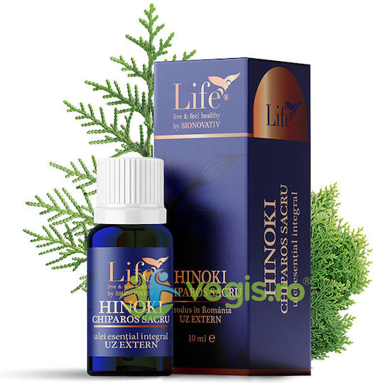 Hinoki Heiliges Zypresse Ätherisches Öl für Äußerliche Anwendung 10ml