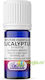 Eucalyptus Essential Oil External Use 10ml
