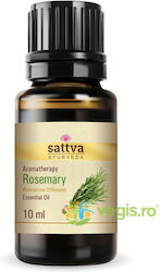 Rosemary Essential Oil 10ml Rosemary Essential Oil 10ml