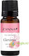 Geranium Essential Oil 10ml