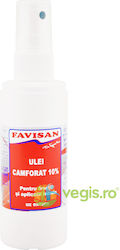 Kampferöl 10% 100ml