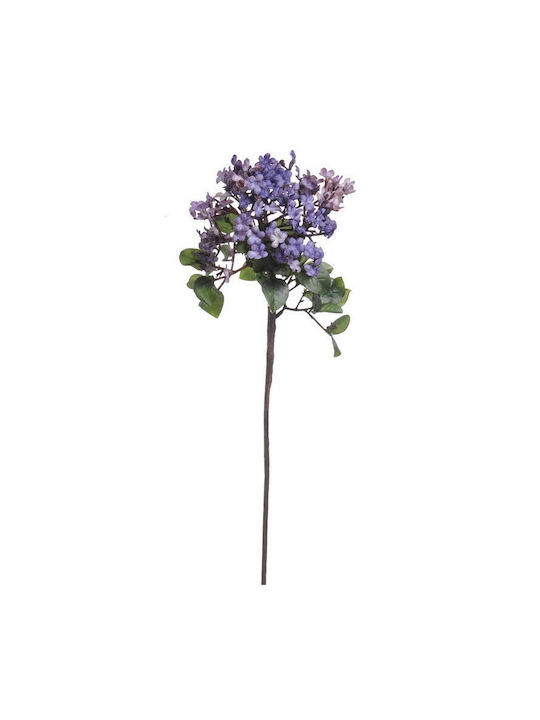 Kladí Tashníto Keráki Chóya Móv 40cm