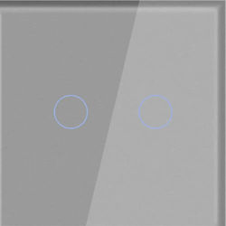 Glass Panel Double Switch Gray Luxon Glass Panel Double Switch Gray Luxon