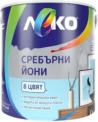 Silber Ion Northern Light 2,5 l Leko