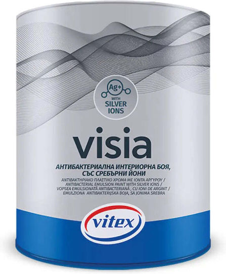 Paint Silver Ions Bw 2.94 L Vitex