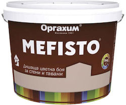 Interior Paint Color Mango 5 Kg Mefisto