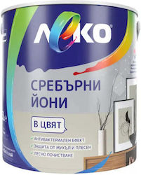 Ion Argintiu Măsline 2.5 L Leko