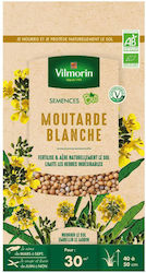 White Mustard Seeds 60 G Vilmorin White Mustard Seeds 60 G Vilmorin
