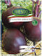 Beet Salad Seeds Ivesto