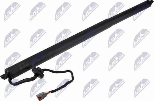NTY Kofferraum-Schock Für Ford Usa Mustang Mach-e 2020-0 0l SUV