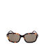 Ted Baker Tba Tb1697 Unisex Sunglasses with Brown Horn-Rimmed Frame and Brown Lenses