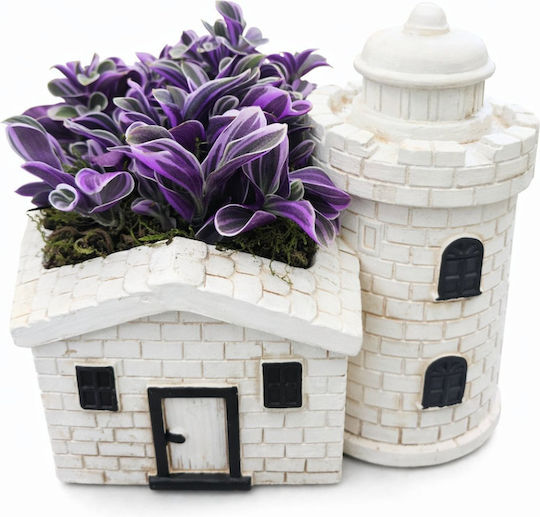 Flowerpot Lighthouse Tradescantia Zebrina H:12cm W:14cm Milvaflowers Flowerpot Lighthouse Tradescantia Zebrina H:12cm W:14cm Milvaflowers