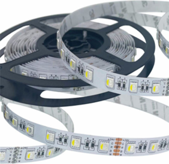 Lightex LED Лента 24V RGBW Светлина Тип SMD5050