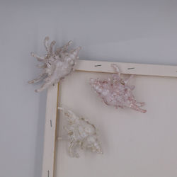 Azure Large Shell Claw Clip Hair Clip