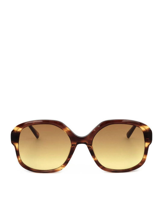 Ted Baker Tb1685 Дамски Слънчеви Очиала с Кафяв...