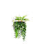 Decorative Hanging Greenery Ring Ø40cm Fern Hd Hd-10457