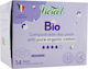Hypoallergene Baumwoll-Hygienepads Tag 4 Tropfen Bio Organisch 14 Stück