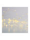 LED Lights 2.5m Warm White Battery String 5pcs