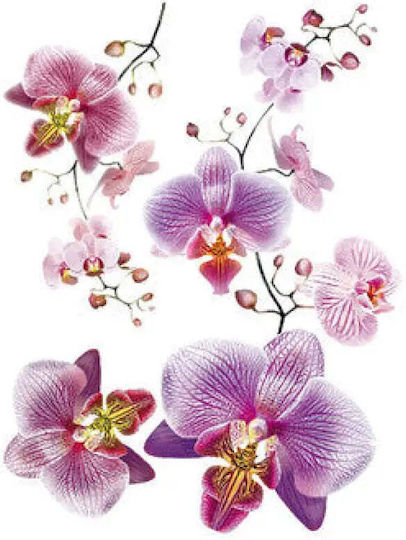 Kids Decorative Wall Sticker 65x85cm