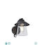 Lutec Wall-Mounted Outdoor Light