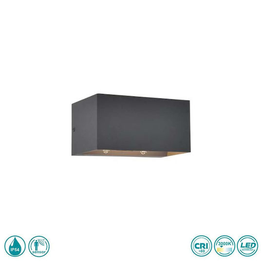 Lutec Gemini Wall-Mounted Outdoor Light