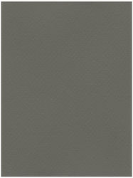 Favini Cardboard 50x70cm 220gr No07 Dark Gray