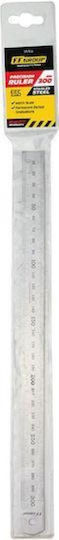 Riga Inox 300x20x1.00 Mm 39915 Metric