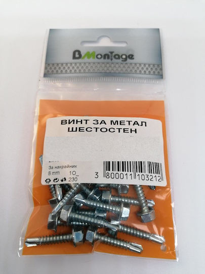 Bmontage Метален Винт с Диаметър M5.5 и Дължина 25mm 25 Бройки