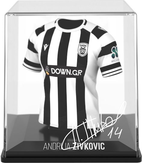Myjersey Paok Andrija Zivkovic Home 25/26 53my00011