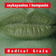 Radical Graża Vinyl