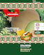 Melon Dessert Seeds 5 5gr