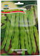 Lodi Bean Seeds