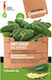 Jalapeno Gourmet Scharfe Paprika Samen