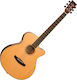 Tanglewood Ακουστική Κιθάρα