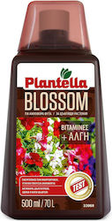 Top Plantella Blühende Pflanzen 500 Ml Top Plantella Blühende Pflanzen 500 Ml