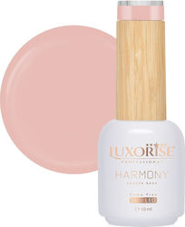 Rubber Base Hema Free Luxorise Harmony Desert D...
