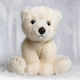 Plush Teddy Bear