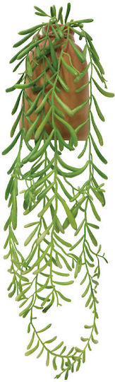 Succulent Plant In Brown Pot 43cm Marhome
