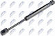 Front Bonnet Shock Absorber 241L-700N Suitable For Mini Clubman 2006-2010 R55 51237148864 1 Pc